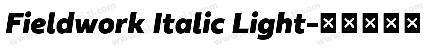 Fieldwork Italic Light字体转换
